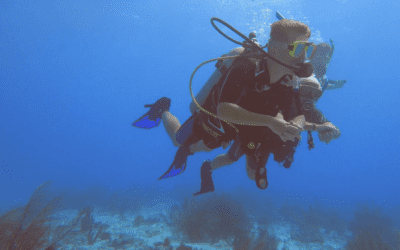 How To Master Diving on Bonaire’s Beautiful Reefs