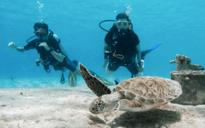 Become PADI Certified on Bonaire? Learn How!