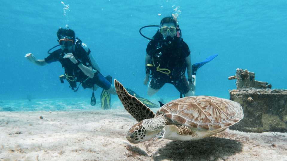 Je PADI halen op Bonaire? Zo doe je dat!